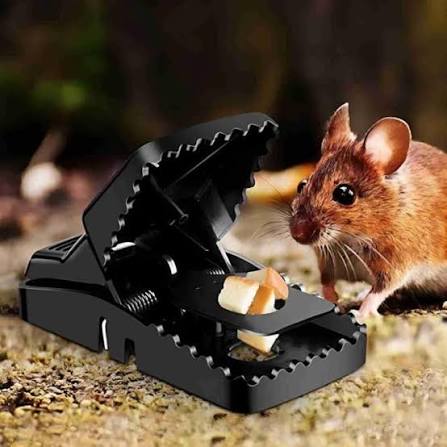 Reusable Plastic Mouse Trap | Premium Quality
